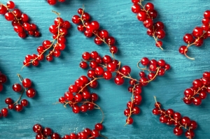 Red currant pattern
